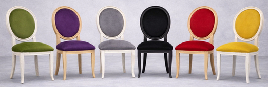 Chaises Médaillon Moderne Pieds Sabre