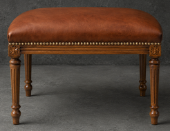 Bancs Style Louis XVI tissu velours crème meubles dobois