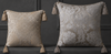 COUSSINS (ASSISE et DOSSIER)